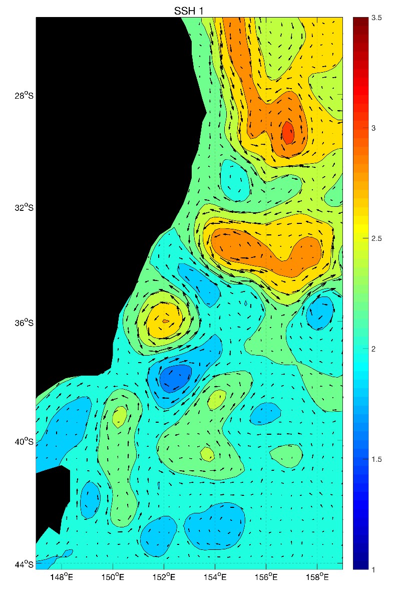 Sea surface temperature image