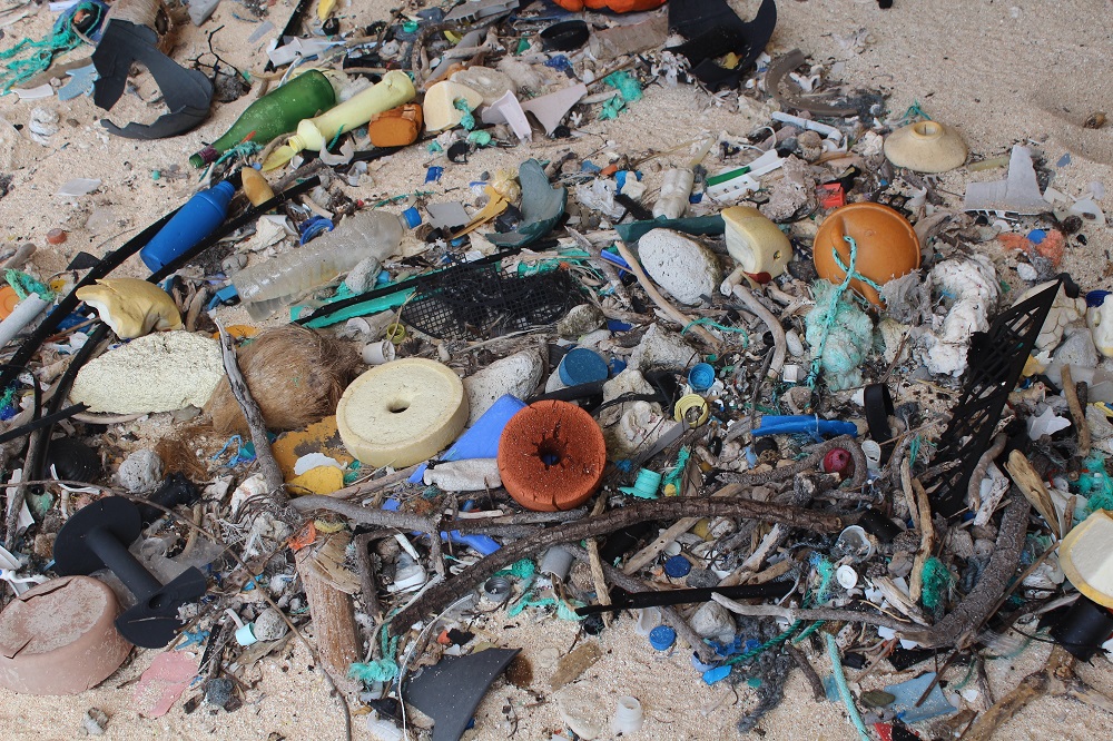 Plastic litter on East Beach, Henderson Island 
